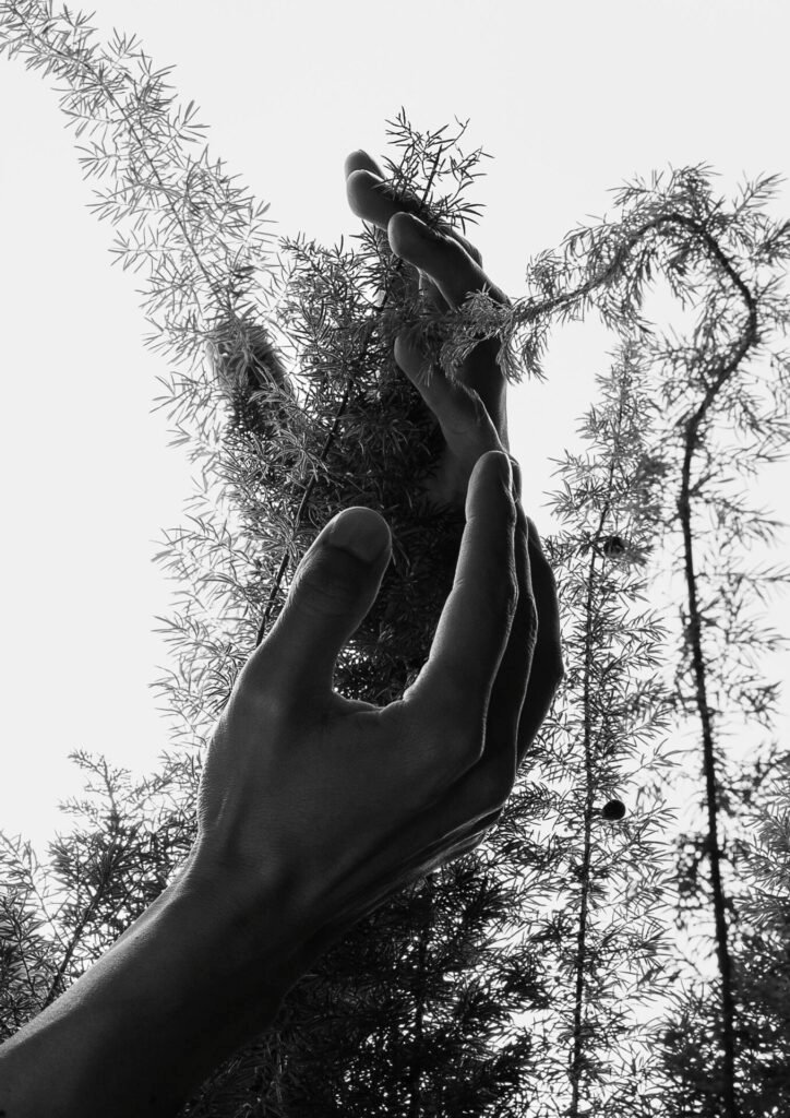 Nature Incarnée by Ludovid Photo serie
